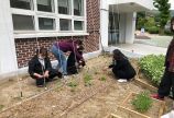 2020 녹색커튼 감천초등학교 추비작업